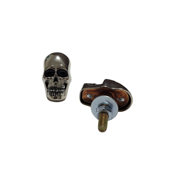 Parafuso de Placa Caveira Olhos Pretos